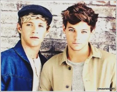 Lesquels des One Direction ont eu du mal  s'entendre au dbut de leur formation ?