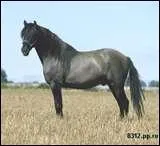 Quelle est cette robe ?