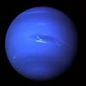 Quelle est cette plante ?