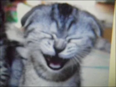 Histoire drle, plaisanterie :