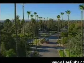 Publicit pour quel produit?