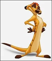 Comment se nomme le petit suricate ?