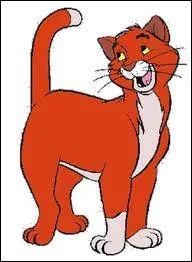 Et ce chat de gouttire, il se nomme...