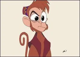 Comment s'appelle ce petit singe ?