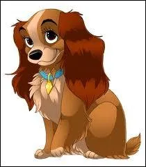 Quel est le nom de cette adorable chienne ?