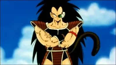 Qui est le frre de Goku ?