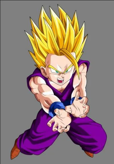 Son Gohan ado en SS2 tue :