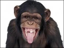 Narguer quelqu'un, c'est ...