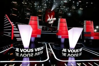 Qui sont ces coachs ?