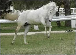 Peut-il tre confi  des dbutants ?