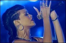 Comment se nomme sa tourne qui a commenc le 8 mars 2013 et qui finira le 28 juillet 2013 ?