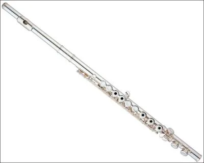 Quel est cet instrument ?