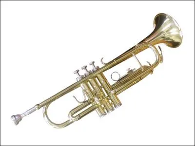 Quel est cet instrument ?