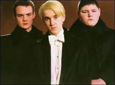 Je suis le meilleur ennemi d'Harry Potter  qui, dans le dernier tome, je dois la vie. Blond comme les bl, riche hritier et Serpentard, je suis ?