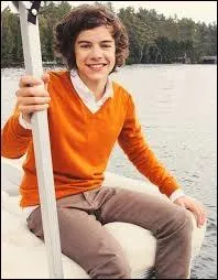 Quelle est la couleur prfre d'Harry Styles ?