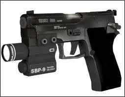 Combien y a-t-il d'armes a feu ?