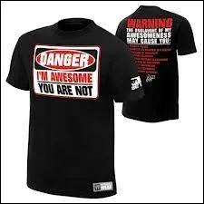  qui est ce t-shirt ?