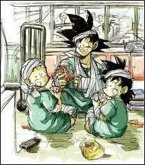 Qui est le meilleur ami de Gok ?