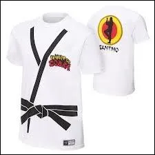  qui est ce t-shirt ?