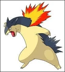 Quel est ce Pokmon ?