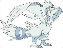 De quel type est ce Pokmon ?