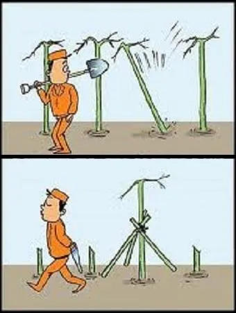 Qui a redress les torts de 2003  2008 ?