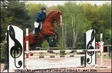 Comment peut-on savoir dans quel sens franchir les obstacles ?