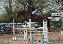 Quelles sont les diffrentes divisions de comptition ?