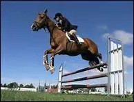 A partir de combien de refus un concurrent est-il limin en concours Amateur ?