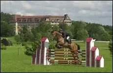 Un cavalier limin peut-il finir son parcours ?