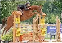 Qu'est-ce qu'une combinaison triple ?