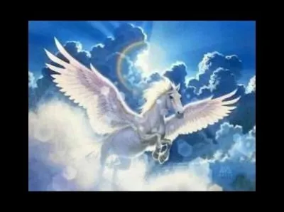 Quel est le nom du cheval ail ?