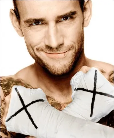 En quelle anne CM Punk a-t-il t class troisime des meilleurs catcheurs au monde ?