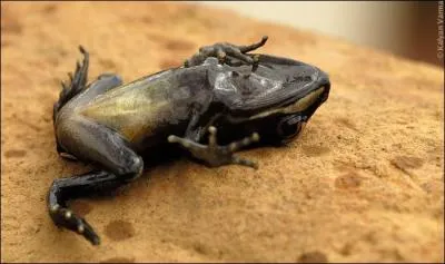 Significatif d'une position o vous n'avez pas intrt  vous manifester !