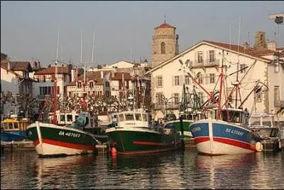 Qu'est-ce que le ttoro, spcialit de Saint-Jean-de-Luz ?