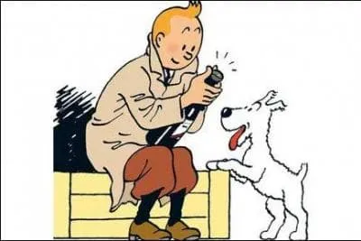Comment s'appellent Tintin et Milou au Japon ?