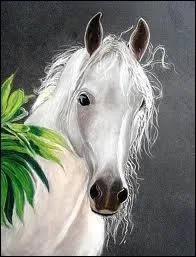 Qui chantait  Demandez  mon cheval  ?