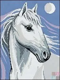 Qui chantait  Un mieux, un rve, un cheval, Foule sentimentale' ?