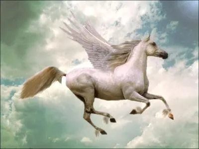 Comment se nomme ce cheval de lgende ?
