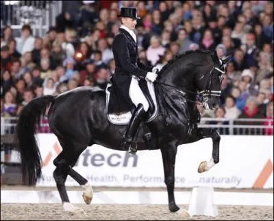 Quel est ce champion de dressage qui a obtenu l'exeptionelle note de 92, 3% ?