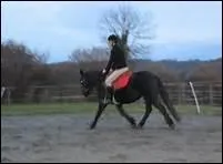 Que faire lorsqu'une jument en chaleur refuse de rpondre  la jambe ?