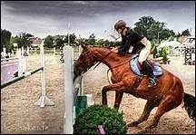 Comment sauter un bidet avec un cheval qui fait toujours des refus sur cet obstacle ?