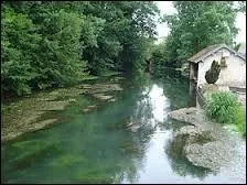 De quel fleuve la Laigne est-elle un affluent ?