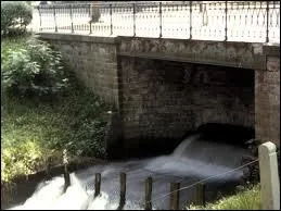 La Rhnelle est un affluent ... ( Attention au pige ! ).