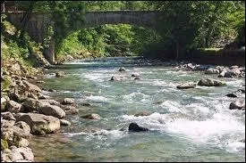 Le Borne traverse la ville du Grand-Bornan ou celle de Saint-Jean-de-Sixt. Il traverse donc le dpartement ...