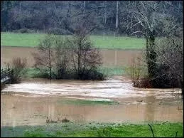 Le Vicoin est un affluent de la Mayenne. Il est par consquent un sous-affluent ...