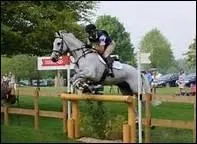 O se situe la ville de Badminton dans laquelle se dispute un concours complet mythique ?