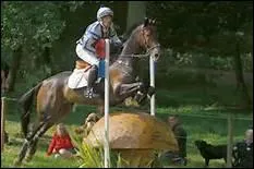 Quelle est la particularit d'un obstacle directionnel ?