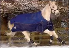 Il existe des couvertures plus ou moins chaudes, qui couvrent ou non l'encolure, des impermables, des polaires ...