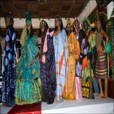 Quels sont les pays entourant le Sénégal ?